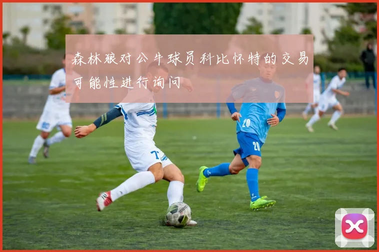 森林狼对公牛球员科比怀特的交易可能性进行询问